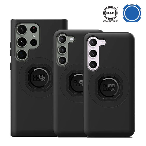 Daisy on the Ohoopee